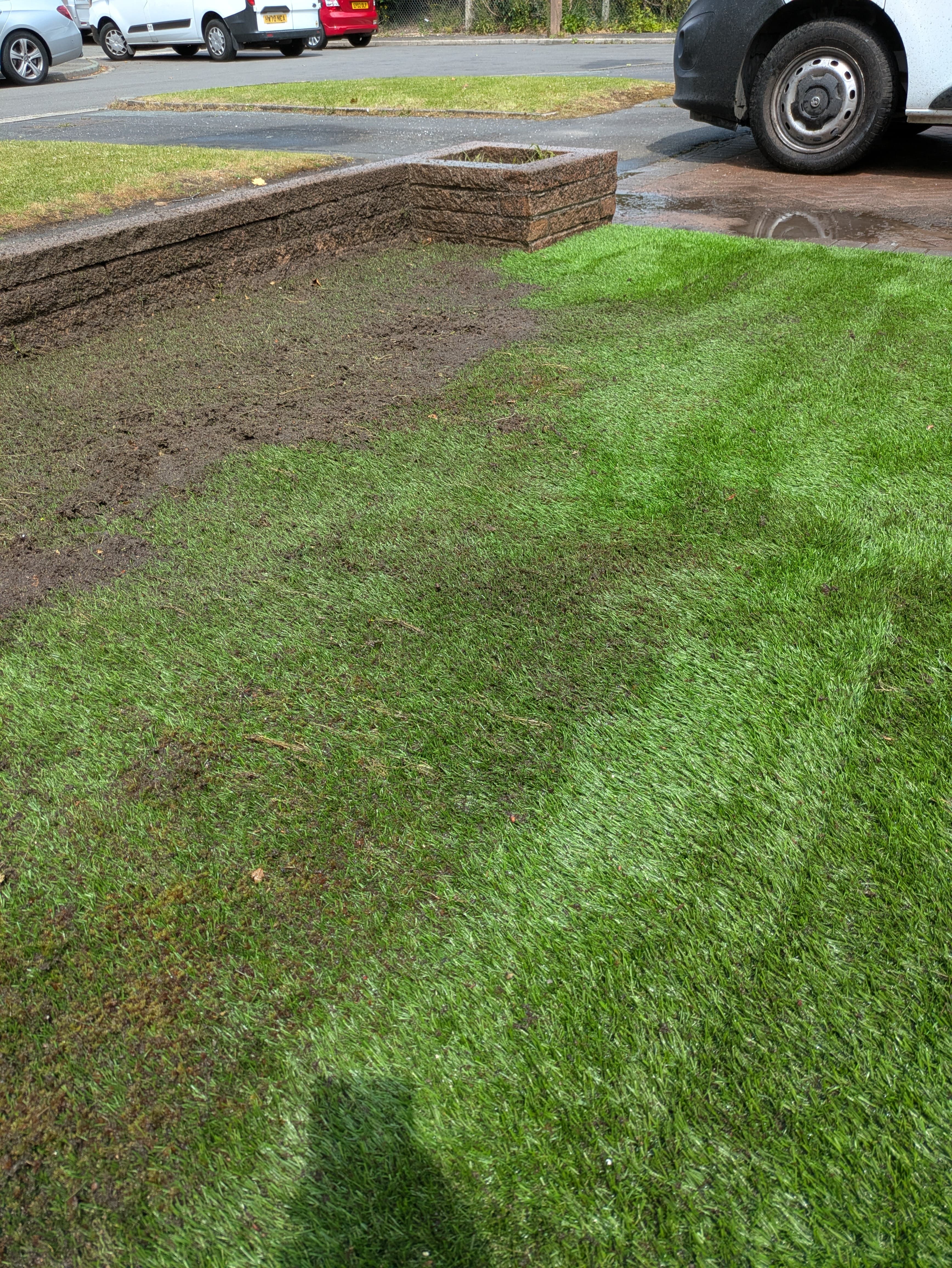 Grimy roof before soft wash cleaning